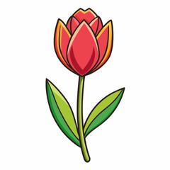 illustration of tulips