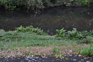 Beautiful nature, forest, mountains, meadows in summer.