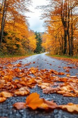 Empty Country Road Covered with Autumn Leaves Surrounded by Orange Foliage