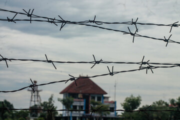 Barbed wire. Barbed wire on fence	
