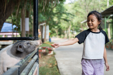 A little girl is feeding a pig a carrot. The pig is looking at the girl with its mouth open