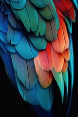 Fototapeta premium Vibrant feathers showcasing a blend of blue, green, and orange hues.