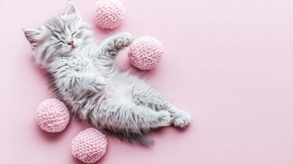 Cute sleeping gray kitten with pink balls on soft pastel background