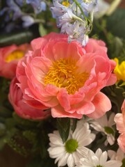 peony flower