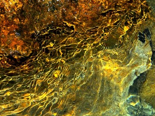 Golden sea stone natural background.