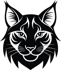 Fototapeta premium head of a tiger