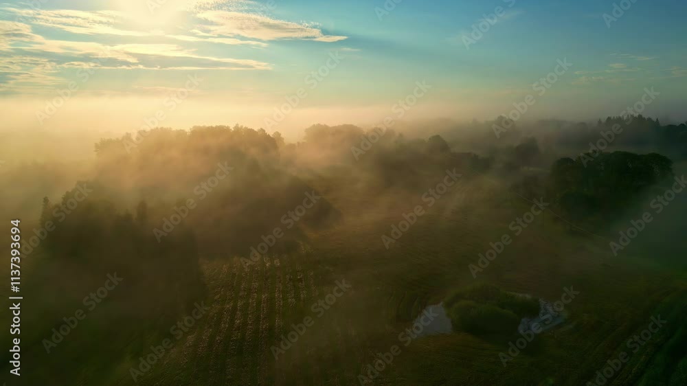 Poster drone moving through foggy clouds capturing sunlight during dawn over forest.