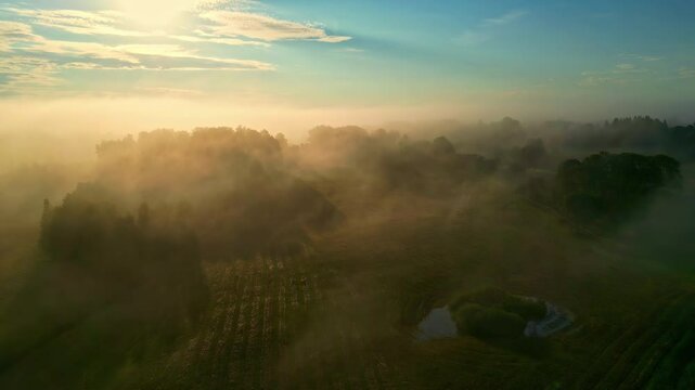 Drone moving through foggy clouds capturing sunlight during dawn over forest.