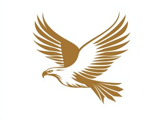 Fototapeta premium Eagle bird logo design, isolated on white background