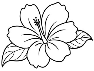 Hibiscus Flower Line Art. Black and White Floral Vector Illustration