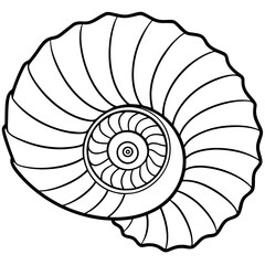 Obraz premium Nautilus shell line art vector illustration