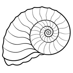 Nautilus shell line art vector illustration © Rabea