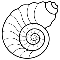 Obraz premium Nautilus shell line art vector illustration