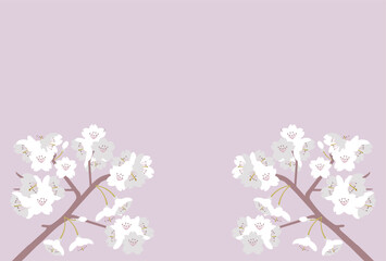 Obraz premium ピンク色の桜背景