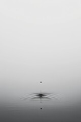A tranquil image of a water droplet creating ripples in still water.