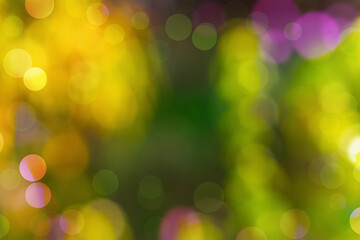 Obraz premium Abstract background with blurred green tree branches with yellow lighting in the distance on a warm sunny day. In the foreground there is a circular bokeh effect