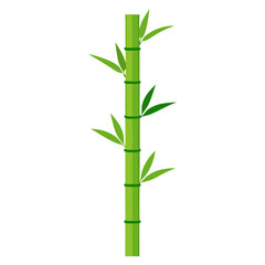 Naklejka premium Single green bamboo stalk growing upright with vibrant leaves in a calm and serene setting
