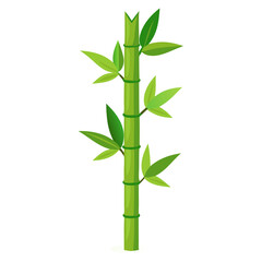 Obraz premium Single green bamboo stalk growing vertically with vibrant leaves in natural setting during daylight