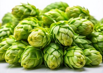 Obraz premium Autumn Hop Cones: Beer Brewing Ingredient, Close-up Photo, White Background, Green Hops