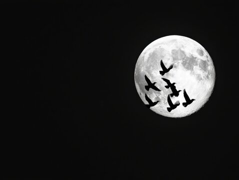 Silhouette of a flock of birds flying across the moonlit sky symbolizing freedom motion and balance in nature