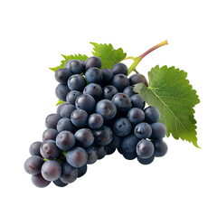 Tasty Syrah Grapes Isolated On Transparent Background 
