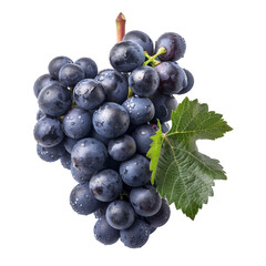 Tasty Syrah Grapes Isolated On Transparent Background 

