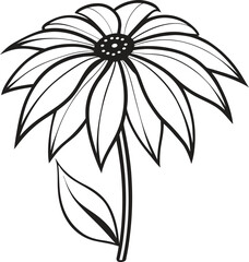 Coneflower Vector Illustration for Gardening and Floral Design