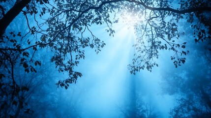 Mystical Blue Forest: Sunbeams Through Foggy Trees