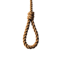 A detailed noose made of coarse rope, intricately tied with a loop, hanging in a vertical position.