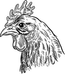 Illustration of chicken in engraving style. Hand drawn chicken. Design element for logo, label, sign, emblem, poster. Vector illustration