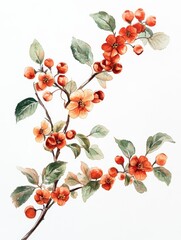 Watercolor illustration of Hawthorn represented by its negative space from a top view, isolated on a white background, for use in botanical, gardening, or nature-themed designs Generative AI