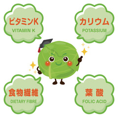 キャベツのキャラクターとキャベツに含まれる成分イラスト