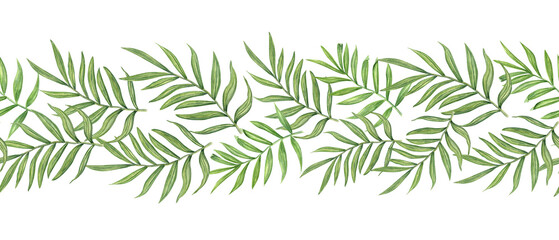 Fototapeta premium Watercolor green areca palm or Cycas leaves horizontal banner. Tropical leaf branches floral summertime illustration for wedding textile, travel package decor, cosmetic design