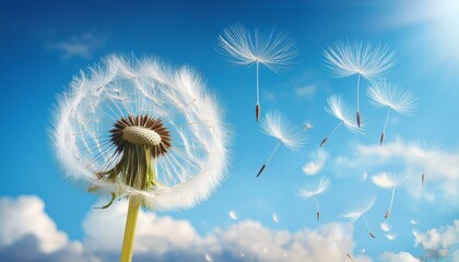 Obraz premium Dandelion Seeds On Sky - Dandelion With Seeds Blowing Away Blue Sky