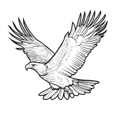 Obraz premium Majestic Eagle in Flight: A detailed line drawing of a bald eagle soaring majestically through the air, wings outstretched in a powerful display of freedom and strength.