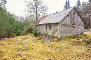 Aged log barn in a forest clearing by a meadow