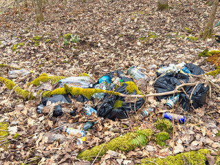 Obraz premium Littering with black plastic bags, plastic bottles abd beer cans on the ground in a forest