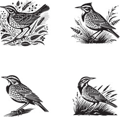 Vintage Bird Silhouettes Collection