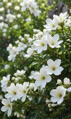 Fototapeta premium White flowers on bush with nectar looking stunning, forest, rural area, bloom time, scenery