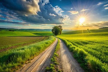 Obraz premium Dirt Road Countryside Field Landscape Photography - Rural Scene, Nature Trail, Summer Scenery, Pathway, Farmland, Rustic Road