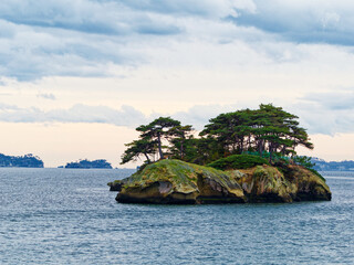 tropical island with tree