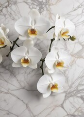 White orchid floral pattern on a marble background, Natural, Sophisticated, Texture