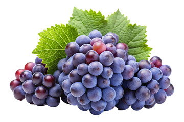 Fototapeta premium bunch of grapes isolated on white