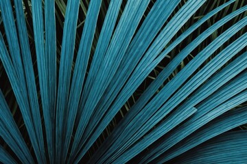 Obraz premium abstract blue stripes from nature, tropical palm leaf texture background, vintage tone