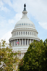 Fototapeta premium us capitol building