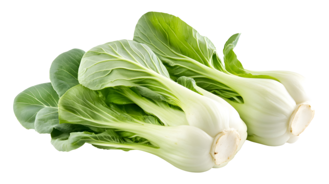 Bok choy portrait on a transparent background. isolated background.