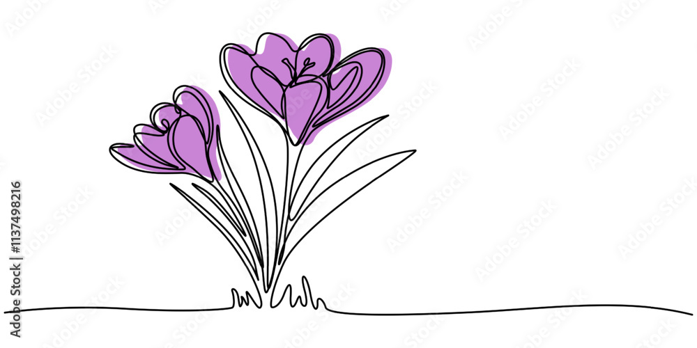 Poster spring crocus flower in continuous line art drawing style. minimalist black linear sketch on white b