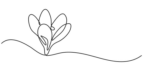 Spring crocus flower in continuous line art drawing style. Minimalist black linear sketch on white background. Vector illustration, Single continuous line drawing beauty fresh croci for home wall. 