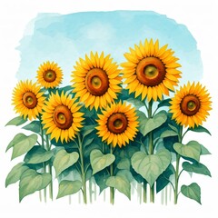 Obraz premium Sunflowers in Watercolor: A vibrant watercolor illustration of a field of sunflowers, capturing the beauty and warmth of summer. The sunflowers are depicted in full bloom.