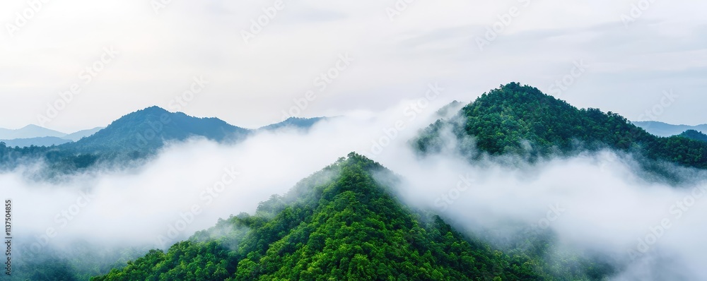 Poster mysterious fog idea. aerial view of serene mountains shrouded in soft, wispy clouds and lush greener